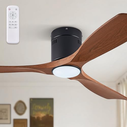 Ceiling Fans