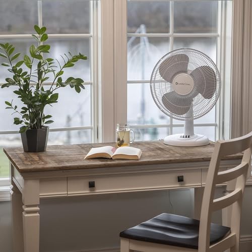 Comfort Zone CZ161BK Oscillating Table Fan with Adjustable Tilt, Convenient Push Button Controls, Quiet, 16 inch, 3 Speed, Desk Fan, Airflow 15.75 ft/sec, Ideal for Home, Bedroom, Dorm & Office