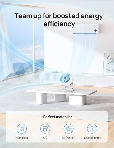 Dreo CF312 Fan for Bedroom, 12 Inches, 70ft Powerful Airflow, 28db Quiet Table Air Circulator Fans for Whole Room, 120° Adjustable Tilt, 3 Speeds, Desktop Fan for Home, Office, Kitchen