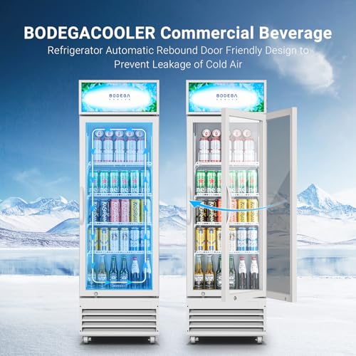 BODEGACOOLER ‎SS-P360WD-WT Commercial Merchandiser Refrigerator Beverage Display Refrigerator,12.5 Cu.Ft Display Refrigerator,LED Light Drink Bar Cooler with Adjustable Shelves,Glass Door Beverage Cooler,White