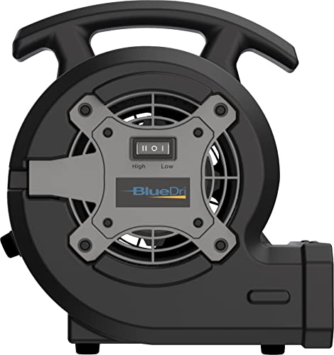 Lasko BD-VP-15-BK BlueDri Portable 1/8 HP Mini Multi-Purpose Air Mover Blower Utility Fan for Home, Carpet and Floor Drying, Black