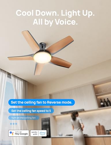 Dreo ‎CLF712S Smart Ceiling Fans with Lights, Low profile Ceiling Fan with Alexa/App, 52'' Dimmable Lighting & Color Tuning, RGB Ambient Light for Living Room, Game Room, Easy Installation, Quiet, Black