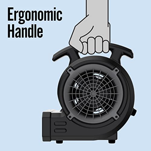 Lasko BD-VP-15-BK BlueDri Portable 1/8 HP Mini Multi-Purpose Air Mover Blower Utility Fan for Home, Carpet and Floor Drying, Black