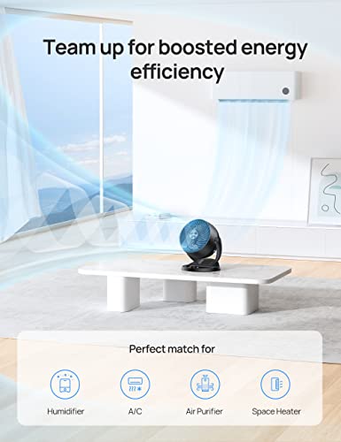 Dreo CF312 Fan for Bedroom, 12 Inches, 70ft Powerful Airflow, 28db Quiet Table Air Circulator Fans for Whole Room, 120° Adjustable Tilt, 3 Speeds, Desktop Fan for Home, Office, Kitchen