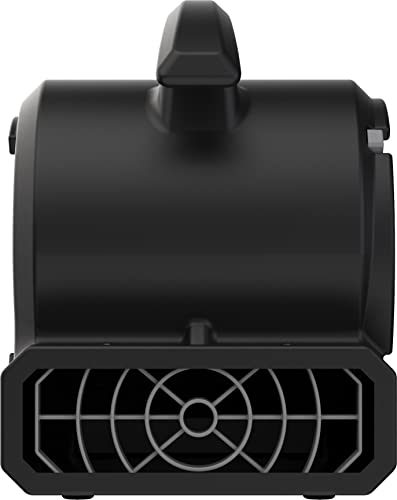 Lasko BD-VP-15-BK BlueDri Portable 1/8 HP Mini Multi-Purpose Air Mover Blower Utility Fan for Home, Carpet and Floor Drying, Black
