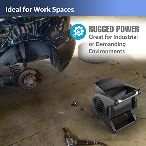 Lasko U15617 High Velocity Pro-Performance Pivoting Utility Fan for Cooling, Ventilating, Exhausting and Drying at Home, Job Site and Work Shop, 14.5, Black, Grey