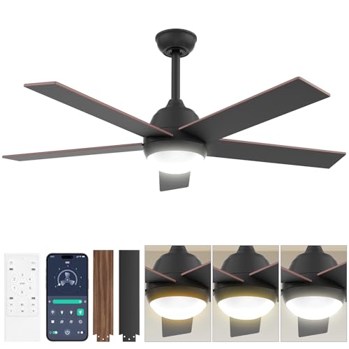 Acesal B0D46ZTXF1 Black Ceiling Fan - 52 inch Low Profile Ceiling Fan with Light and Remote Control, 6 Wind Speeds, 3 Color Temperatures, Smooth Dimming, Timing, Quiet Reversible DC Motor for Indoor and Outdoor