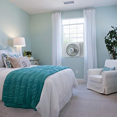 Lasko W16900 16" Electrically Reversible Window Fan with Storm Guard, 16 INCH, White