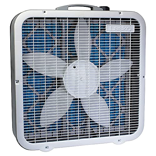 Box Fans