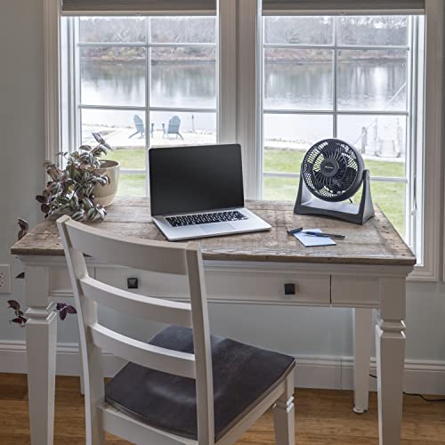 Comfort Zone CZHV8T Table Fan, 8 inch, 3 Speed, Personal Fan, Electric, Wall Mountable, 180 Degree Adjustable Tilt, Tabletop Fan, Desk Fan, Airflow 7.91 ft/sec, Ideal for Home, Bedroom & Office