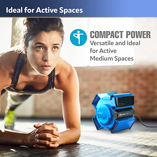 Lasko X12905 X-Blower 6 Position High Velocity Pivoting Utility Blower Fan for Cooling, Ventilating, Exhausting and Drying, 3 Speeds, AC Outlet, Circuit Breaker with Reset, USB Port, 11x9x12, Blue