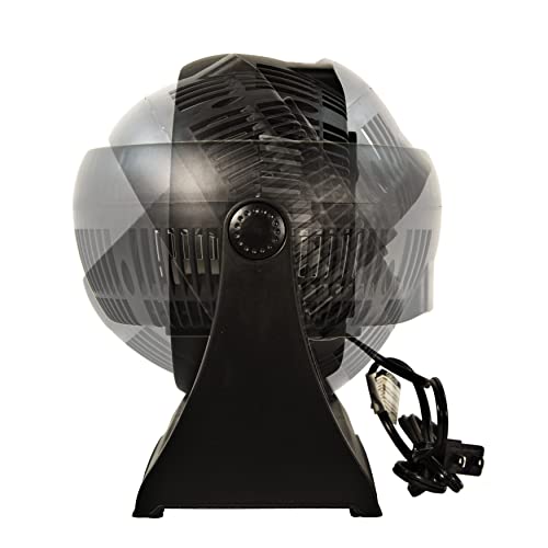 Comfort Zone CZHV8T Table Fan, 8 inch, 3 Speed, Personal Fan, Electric, Wall Mountable, 180 Degree Adjustable Tilt, Tabletop Fan, Desk Fan, Airflow 7.91 ft/sec, Ideal for Home, Bedroom & Office