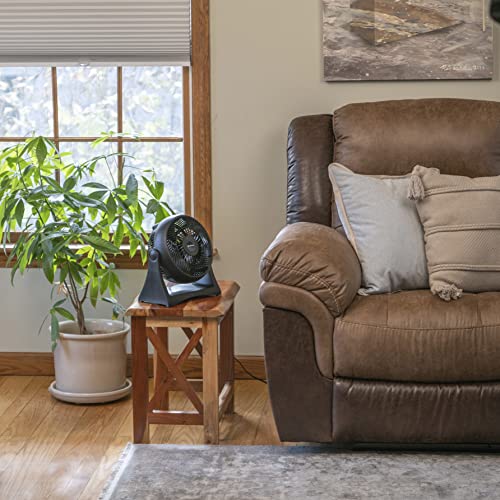 Comfort Zone CZHV8T Table Fan, 8 inch, 3 Speed, Personal Fan, Electric, Wall Mountable, 180 Degree Adjustable Tilt, Tabletop Fan, Desk Fan, Airflow 7.91 ft/sec, Ideal for Home, Bedroom & Office