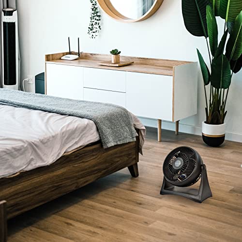 Comfort Zone CZHV8T Table Fan, 8 inch, 3 Speed, Personal Fan, Electric, Wall Mountable, 180 Degree Adjustable Tilt, Tabletop Fan, Desk Fan, Airflow 7.91 ft/sec, Ideal for Home, Bedroom & Office