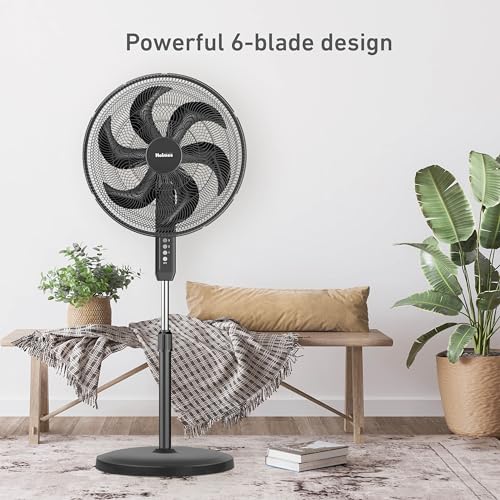 HOLMES BIG BREEZE 16" Stand Fan, Powerful Airflow, 80° Oscillation, 3 Speeds, 6 Blades, Adjustable Height, 30° Head Tilt, Ideal for Home, Bedroom, Gym or Office, Black