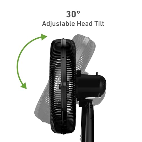 HOLMES BIG BREEZE 16" Stand Fan, Powerful Airflow, 80° Oscillation, 3 Speeds, 6 Blades, Adjustable Height, 30° Head Tilt, Ideal for Home, Bedroom, Gym or Office, Black