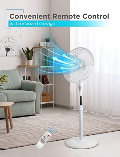 BLACK+DECKER BFSR16W 16" Stand Fan with Pedestal Base, Height Adjustable Pedestal Fan with Remote and Touch Control Panel, Free Standing Fan with 90-Degree Oscillating and 3-Speed Settings, White