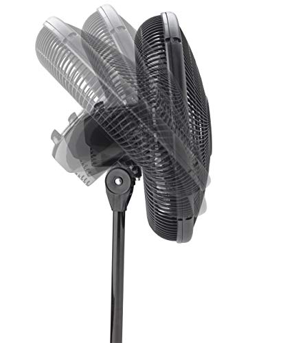 Lasko 2521 16" Oscillating Stand Fan, 16 Inch, Black
