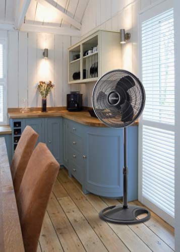 Lasko 2521 16" Oscillating Stand Fan, 16 Inch, Black
