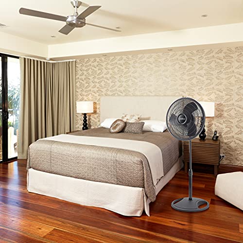 Lasko 2521 16" Oscillating Stand Fan, 16 Inch, Black