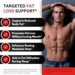 Belly Fat Burner for Men - Lose Weight Naturally