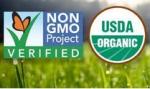 Organic Wheat Grass Tablets for Weight Loss