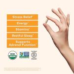 Organic Ashwagandha Capsules for Stress Relief and Energy