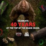 Jack Link's Beef Jerky Variety Pack - 9 Bags