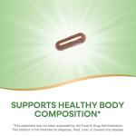 Nature's Way Forskohlii for Healthy Body Composition