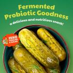 Probiotic Dill Pickles for Gut Health – 3 Pack