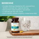 Himalaya Berberine for Digestion and Immune Boost