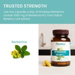 Himalaya Berberine for Digestion and Immune Boost