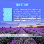 Mindful Eating Journal for Weight Loss Success