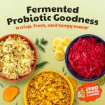Gut-Friendly Sauerkraut Probiotic Bundle by Olive My Pickle