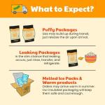 Gut-Friendly Sauerkraut Probiotic Bundle by Olive My Pickle