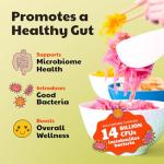 Gut-Friendly Sauerkraut Probiotic Bundle by Olive My Pickle