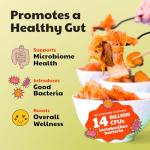 Flavorful Kimchi Variety Pack for Gut Health