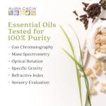 Aura Cacia Sweet Almond Skin Oil, 16-Ounce