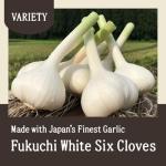 Black Garlic Superfood – 7 oz Fermented Bulbs