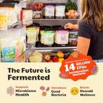 Flavorful Fermented Veggie Pack: Sauerkraut & Olives