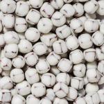 Nature's Garden Probiotic Yogurt-Covered Snack Packs