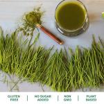 Wheat Grass Powder for Energy and Detox Support