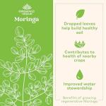 Organic India Moringa Capsules - Green Superfood Boost