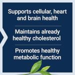 Lightly Caffeinated Mega Green Tea Extract Capsules