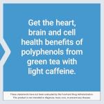 Lightly Caffeinated Mega Green Tea Extract Capsules