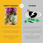 Sweet Sunnah Cold Pressed Black Seed Oil, 4 Fl Oz