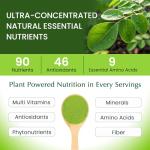 Organic Veda Moringa Leaf Powder, 16oz Transform Your Health