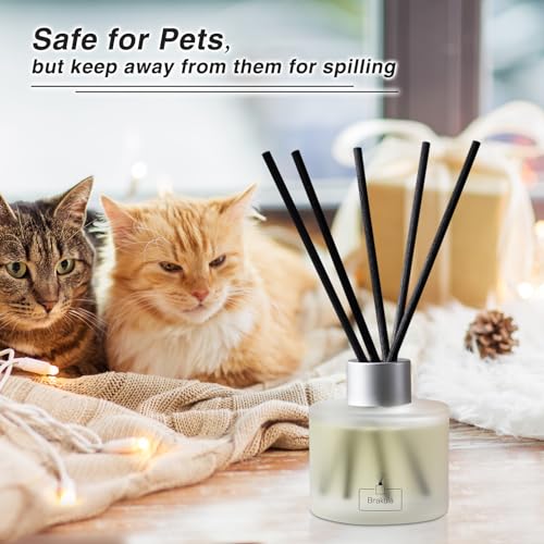 Brakula Reed Diffuser Set, 100ml Bamboo & White Tea Scented Essential Oil Diffuser, Home Fragrance for Living Room, Bathroom, Office