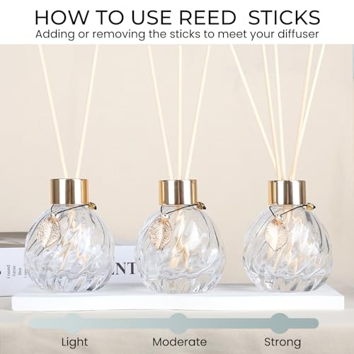 TRIFOLIC 4Pcs Reed Diffuser Set with Metal Golden Decoration, Empty Reed Diffuser Bottles with 20Pcs Reed Diffuser Sticks, Unique Design Bottles for Home and Office(4 Pcs Different Bottles)
