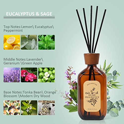 Reed Diffuser, Eucalyptus & Sage Reed Diffuser Scented includes 6 Rattan Scented Sticks Diffuser Reeds, Elegant Amber Glass Jar Reed Diffuser for Home Fragrance, 4.1 oz, Morther's Day Gift